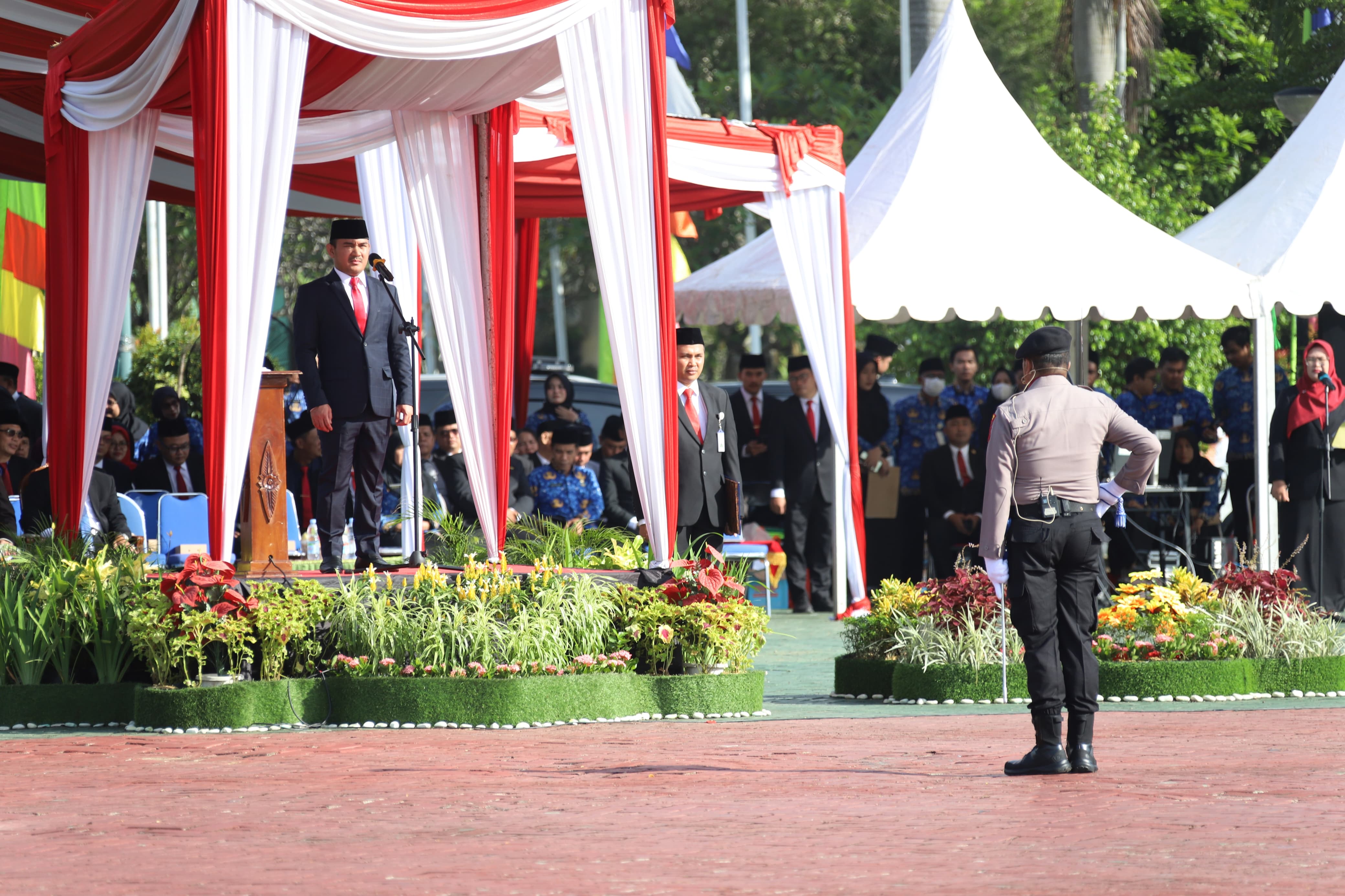 id12461_IMG-20251110-WA0058