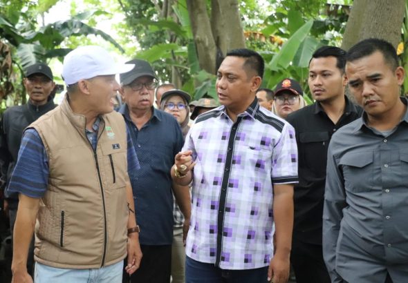 id12650_Compress_20251228_163956_6383