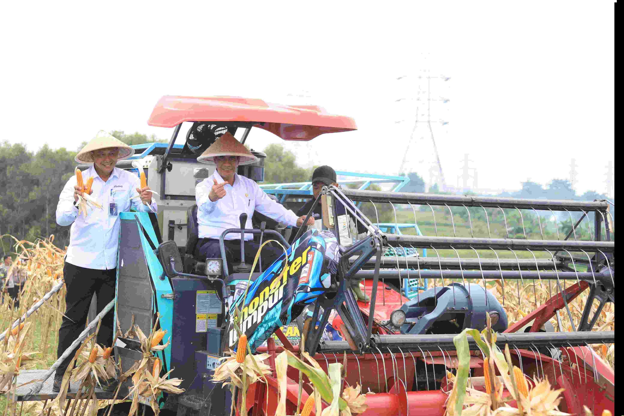 id12665_Compress_20260108_154359_9270