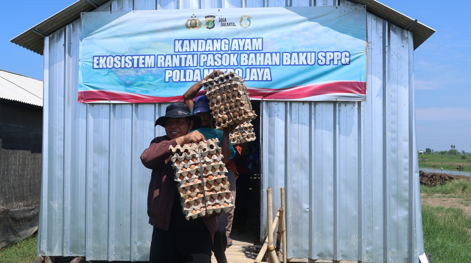 Panen 3.000 Telur di Bekasi, Polda Metro Jaya Salurkan ke SPPG Panen 3.000 Telur di Bekasi, Polda Metro Jaya Salurkan ke SPPG